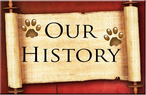 Our History logo and link