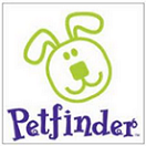 Petfinder adopt a pet